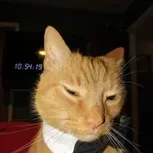 Patric